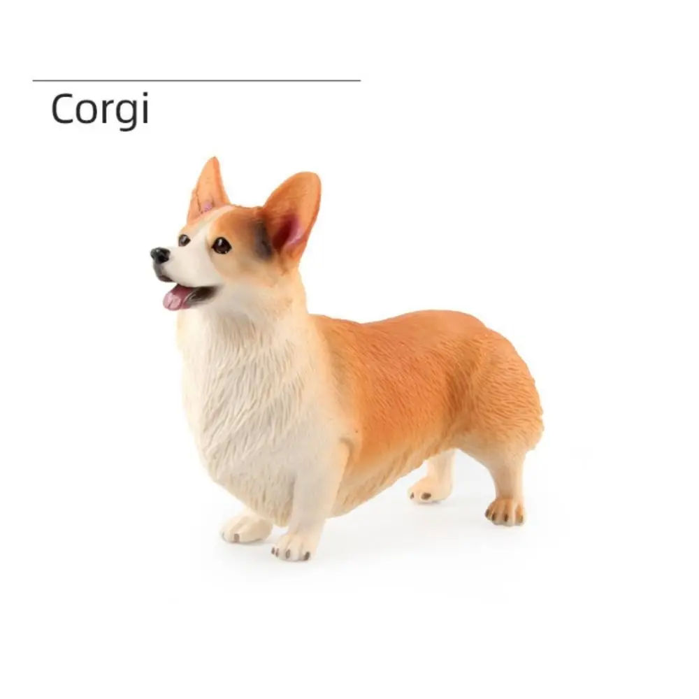 Children Educational Toys Simulation Dog Figurine Solid Bulldog Miniature Animal Model Corgi Pomeranian Home Decor