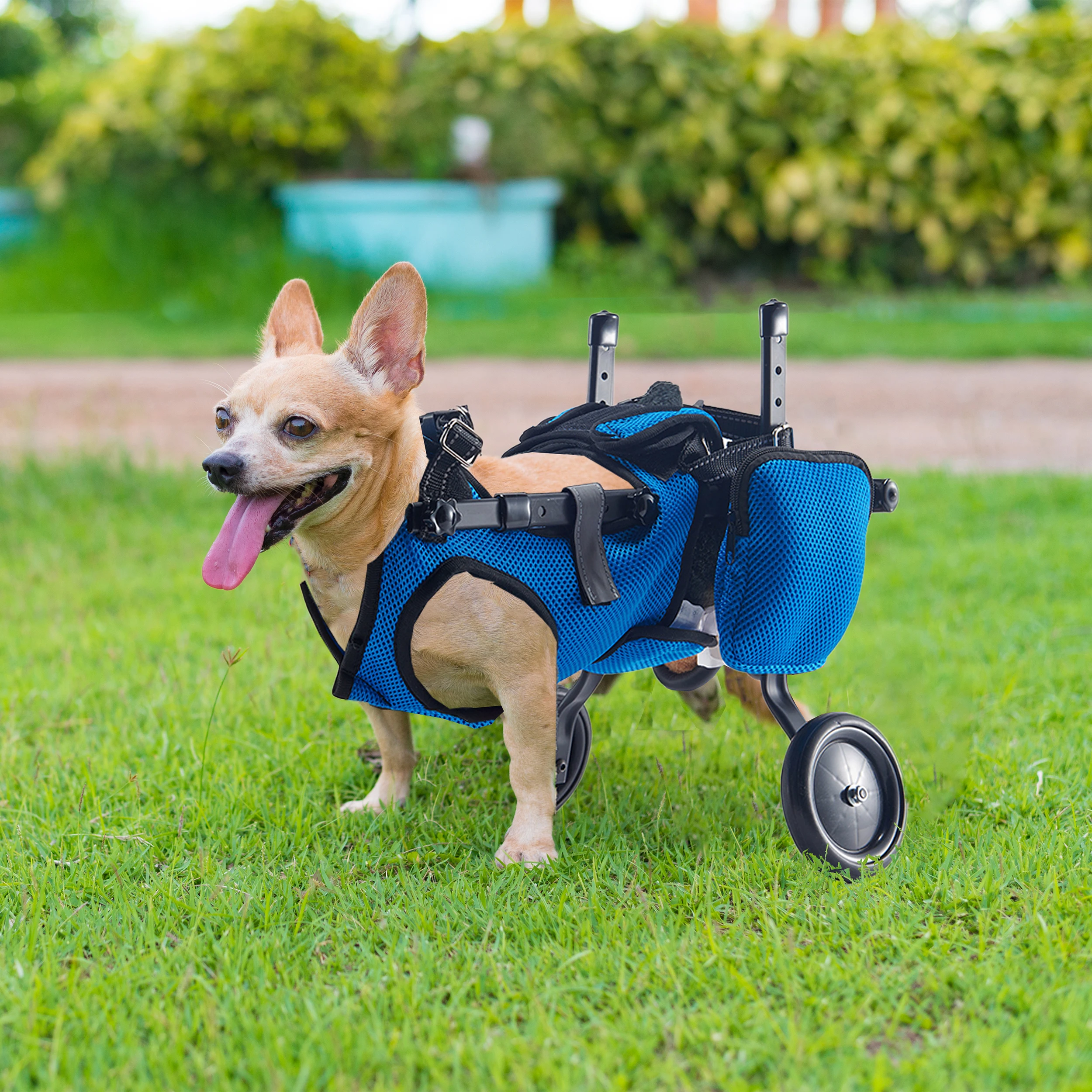 

Aluminum Alloy Adjustable Disabled Dog Wheelchair For Back Legs Dog,Cart Mobility Aid Rehabilitation Training For Small Pets