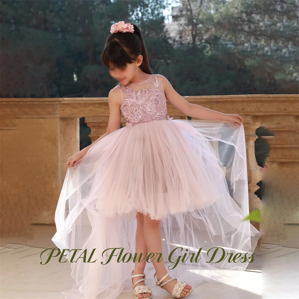 Petal Lace Embroidery Kids Birthday Party Dress High Low Train Pageant Dress for Girl Dusty Rose First Communion Gown Customized
