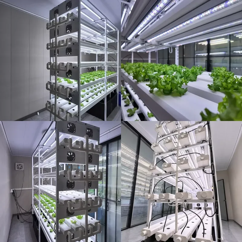 Indoor Hydroponic Planting Kit Intelligent Automatic Watering System with LED Grow Light for Herbs and Vegetables