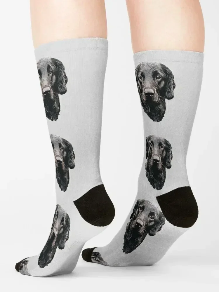 Flat Coated Retriever - Stunning Dog! Socks Christmas Sports essential New year's Designer Man Socks Women's
