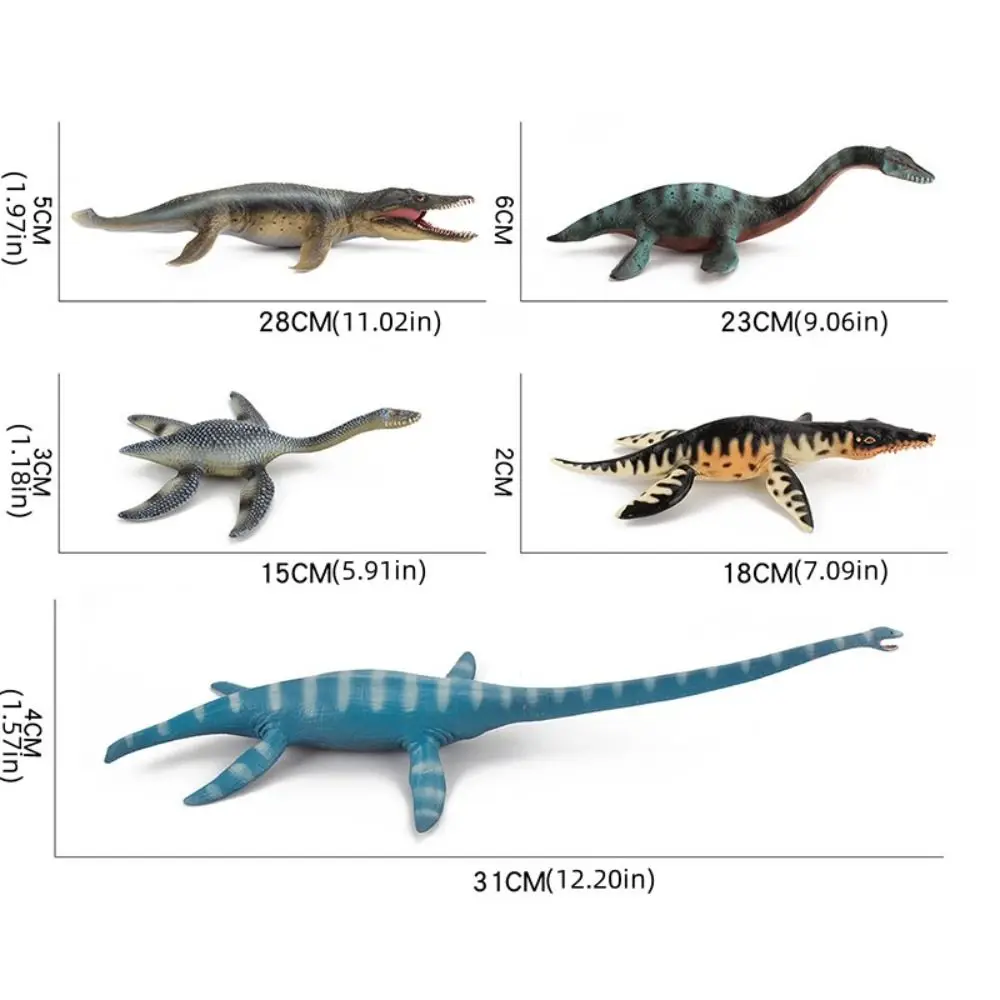 Plesiosauro Modello biologico preistorico Kronosaurus Thalassomedon Jurassic Animali antichi Modello Action Figures