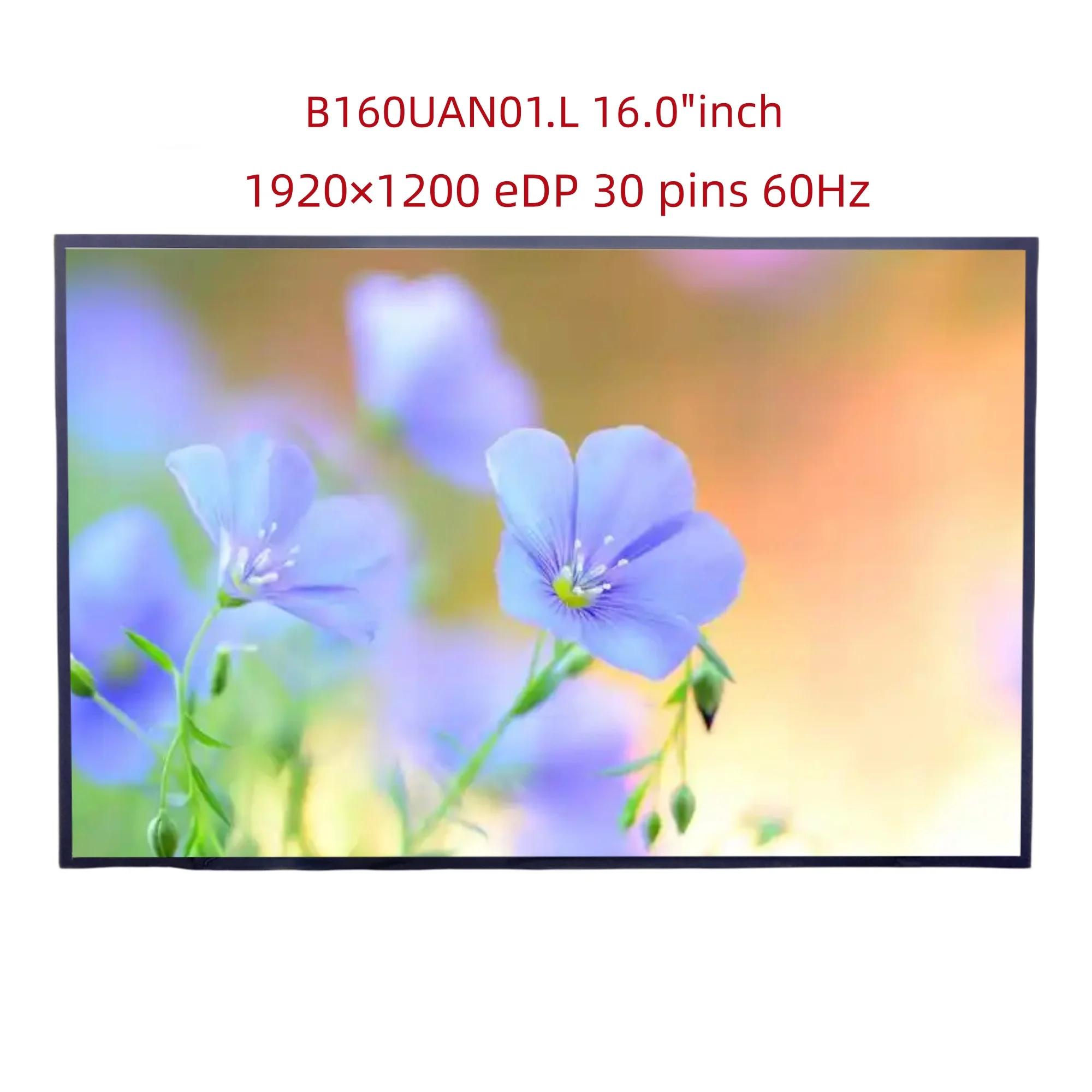b160uan01l-160-pouces-1920-×-1200-edp-30-pins-60hz-matrice-remplacement-panneau-ordinateur-portable-lcd-Ecran