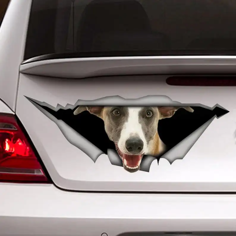 Whippet car Decal, Pet decal , Whippet magnet, funny Whippet sticker