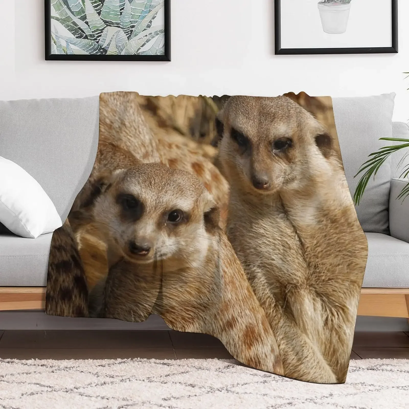Meerkat 039 Throw Blanket Multi Purpose Soft Warm Blanket for Home Travel