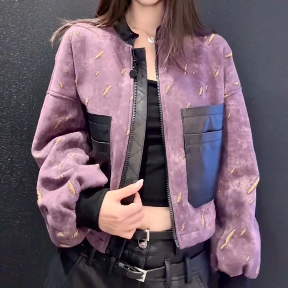 2026 spring and autumn new fashion small short purple versatile stand-up collar baseball jersey niche jacket