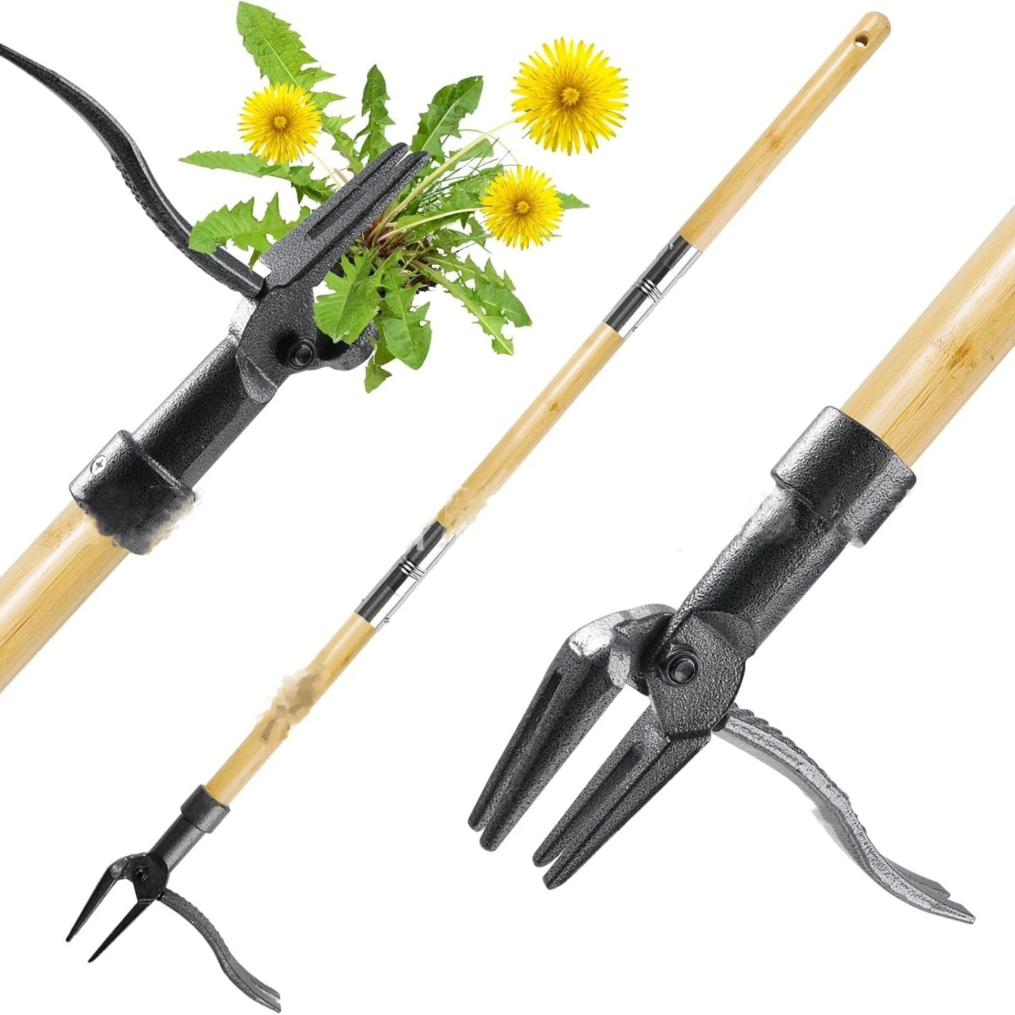 

Standing manual weed remover to pull weeds without bending over