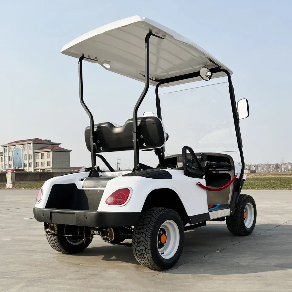 4 Wheel Electric Club Car 48V Seat Sightseeing Bus Carts 2 Seater Electric Golf Cart