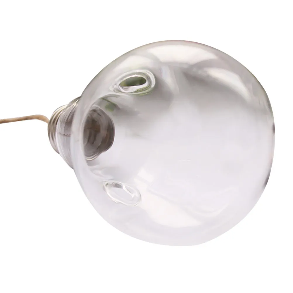 Light Bulb Shaped Glass Planters Hanging Wall Plant Pots 2 Holes Round Plant Pots Flower Vase Nail