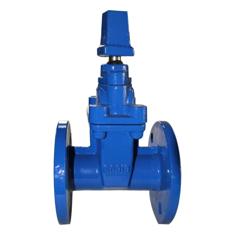 DN50-DN1200 PN16 BS DIN مقعد مرن قياسي F4 بوابة صمام للمياه دليل DI القناة الحديد OSY ونوع NRS QT450 #4