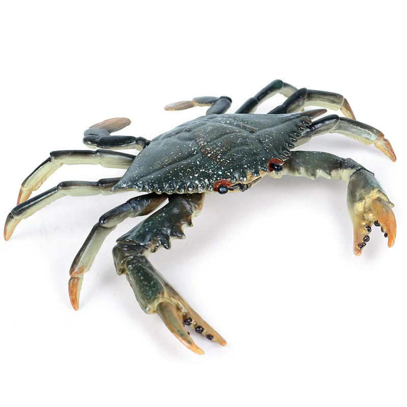 Children's simulation of marine wildlife toy solid swimming crab crab crab hairy crab model