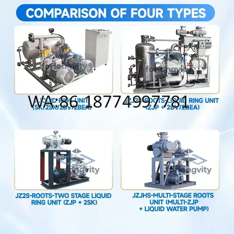 custom Forlongvity High Efficiency Roots Vacuum Pump ZJP Series Explosion Proof Motor Stainless Steel 304 316 for Chemical