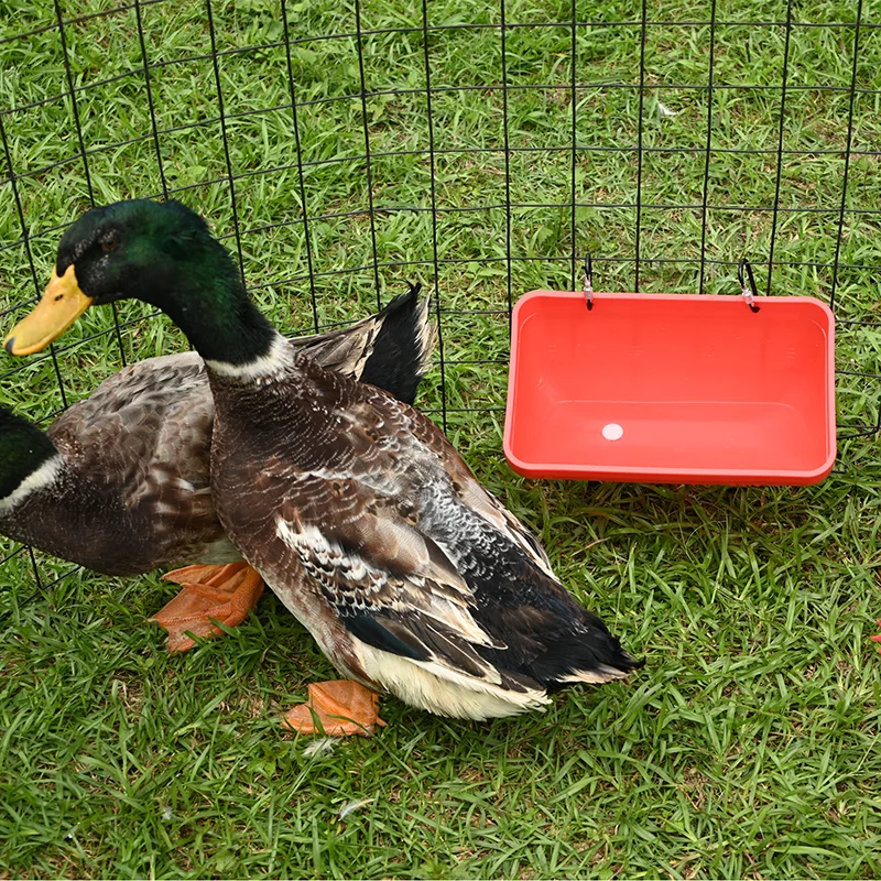 Chicken Feeder Waterer, Goat Feeder - 2 Pack,  for Goats Chickens Duck Sheeple Dogs Piglets Deers Gooses, Turkeys, Goat Supplies