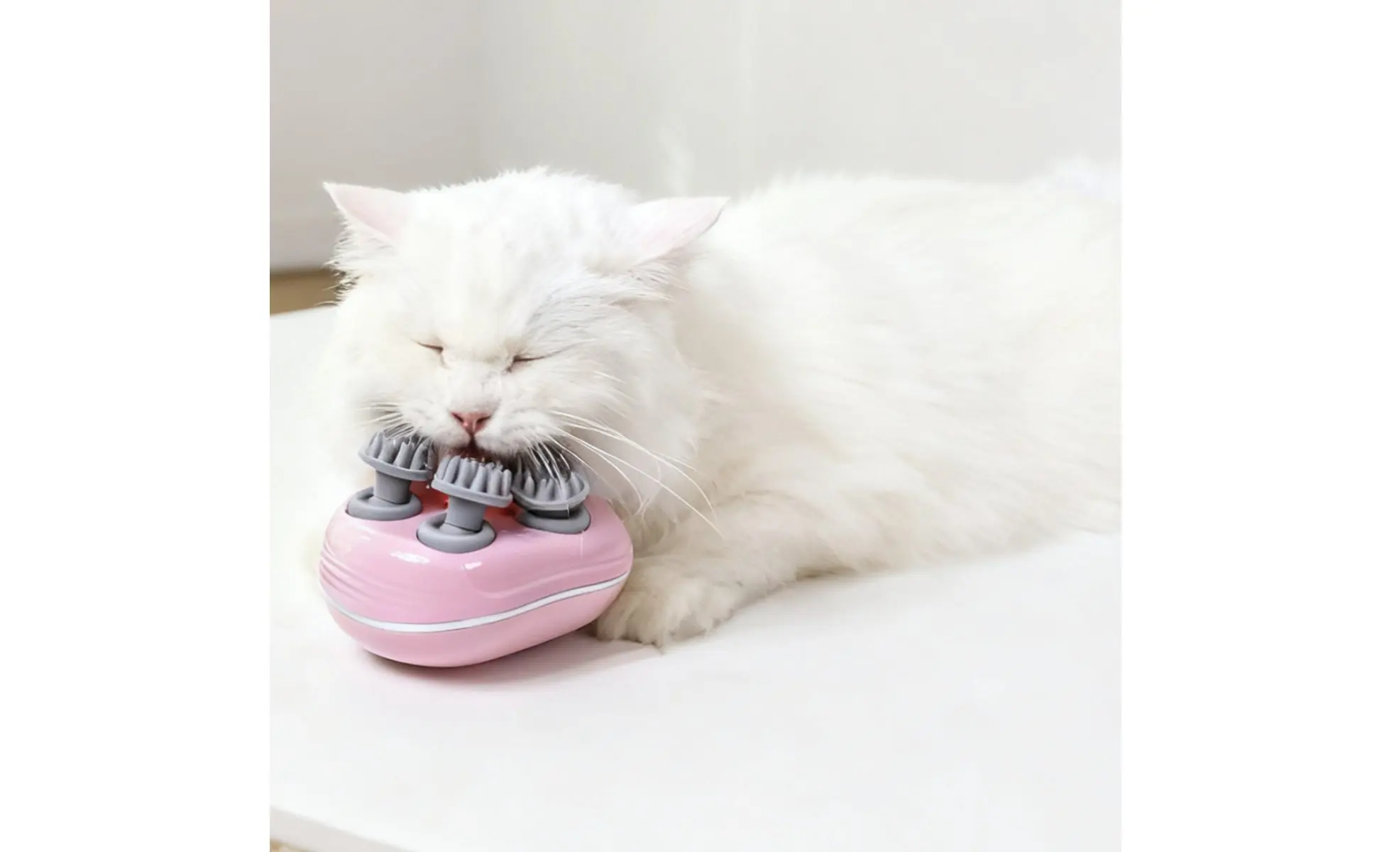 Pet Head Massager Multi-Function Electric Pet Massager Head Massage Tool Tangletangle-Free Wellness Device Portable