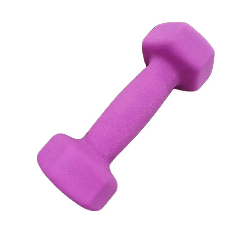 YTYINSmall Vinyl Hexagonal Dip Dumbbell Set Gym Equipment With Plastic Dumbbells