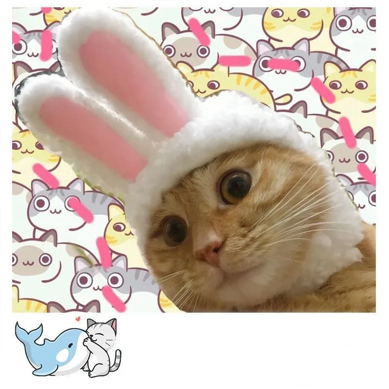 New Funny Pet Dog Cat Cap Costume Warm Rabbit Hat New Year Party Christmas Cosplay Accessories Photo Props Headwear