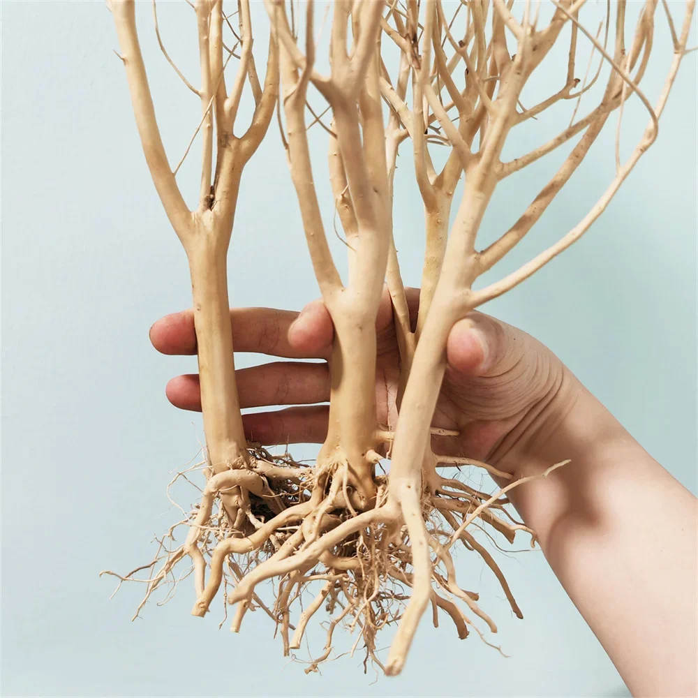 Natürliches Stamm drift holz sortiert Treibholz zweig Treibholz zweig Moos Treibholz groß für Aquarium Drift Holz zweige