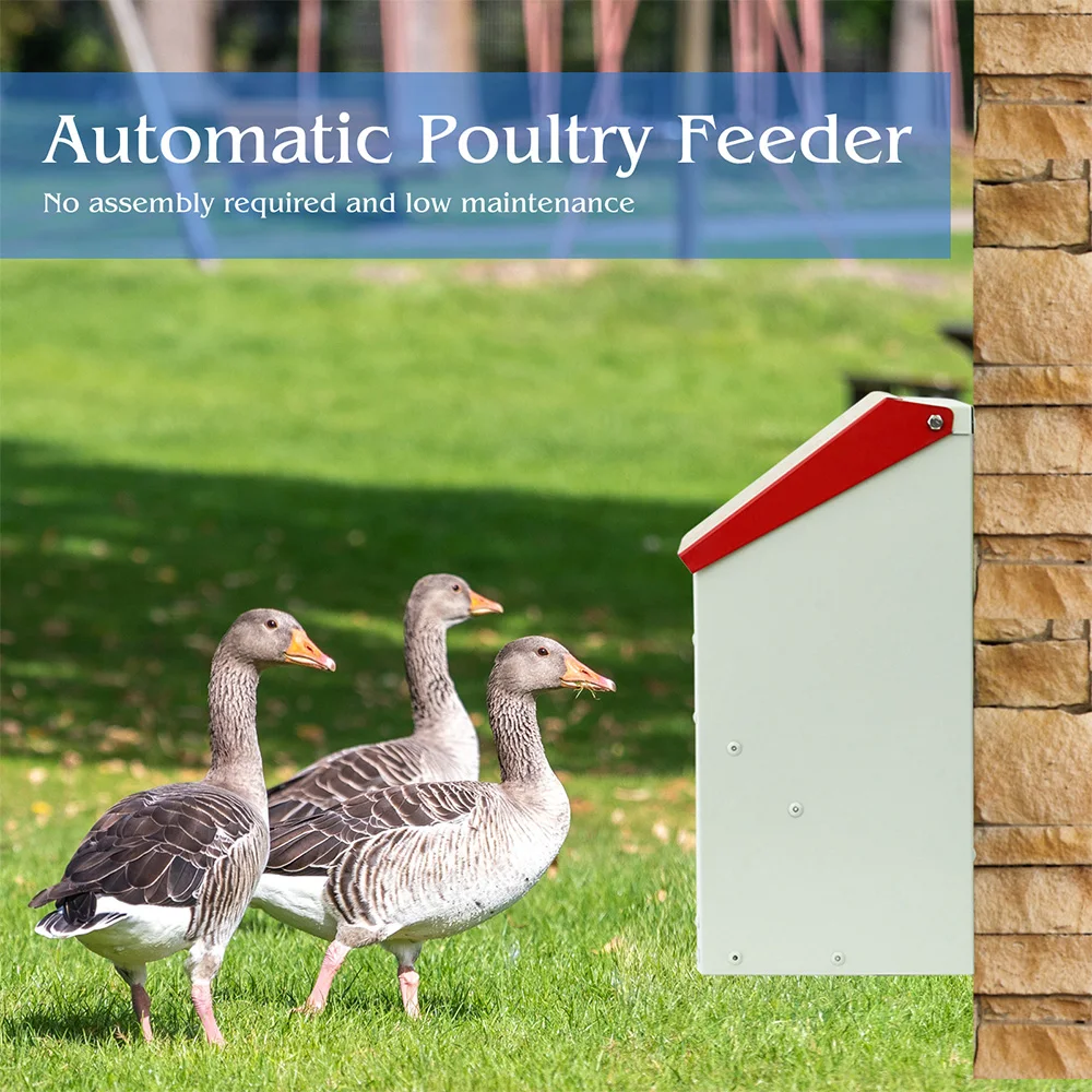 Stainless Steel Automatic Chicken Feeder Trough  Poultry Feeder Chicken Duck Pigeon Feeder Food Bowl