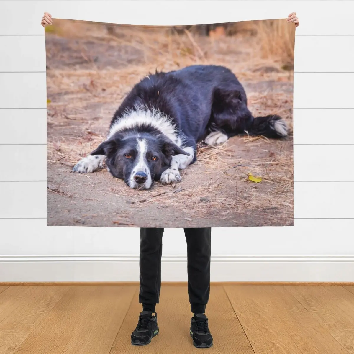 

Cute Border Collie Lying on Ground Throw Blanket Warm Summer Thins Blankets