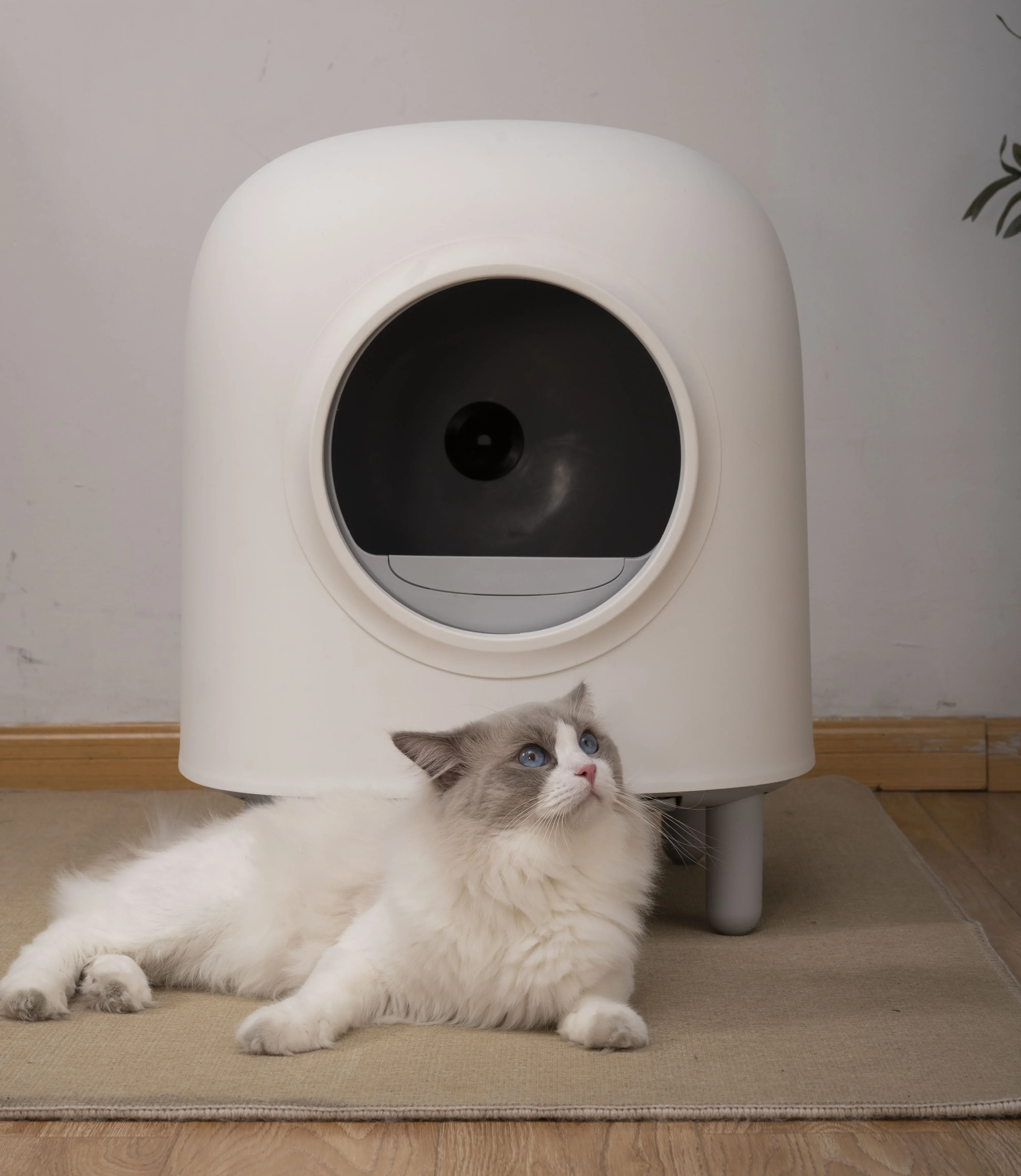 PETREE 2 SECOND GENERATION APP WIFI Control Automatic Intelligent Self Cleaning Cat  Box Top Selling Products Cat Toilet