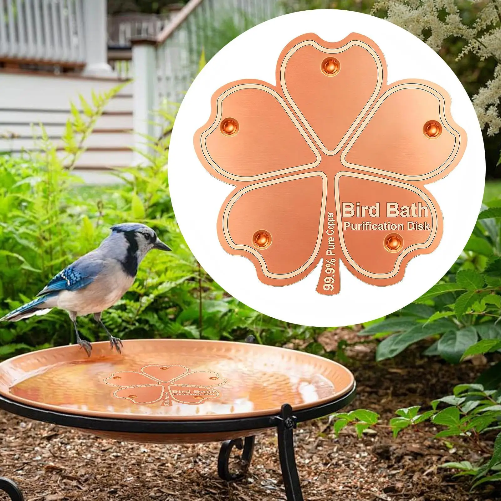 Bird Bath Purification Copper Floral Purification Panel Copper Disk Bird Bath Insert Metal Cleaner Disks Feeder Accessories