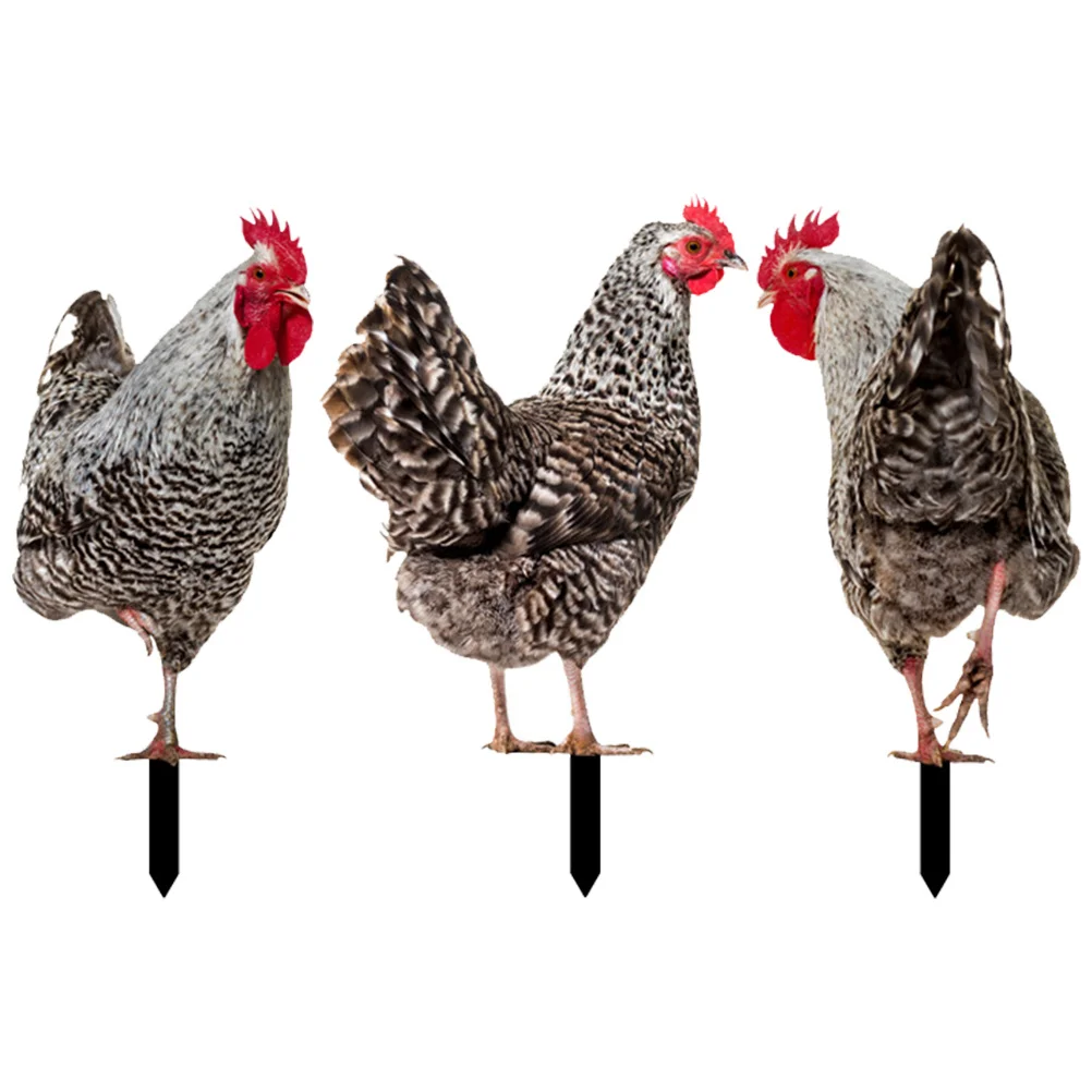

3Pcs Garden Chicken Yard Stake Decorative Chicken Insert Acrylic Lawn Outdoor Yard Ornament Garden Animal Insert