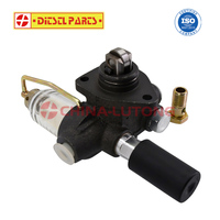 Fuel Feed Pump 0440003176 For Mercedes Benz OM352 Engine Truck Parts, Diesel Pumping Pump For Bosch Lift Pump FP/KE22AD112/2
