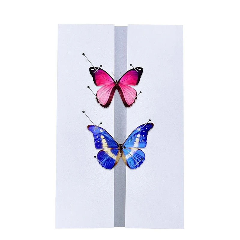 14Pc Insect Specimen Gereedschap Kit Insect Pinning Block, Insect Pinning Board EVA Foam Board, voor Insect Collection Entomologie