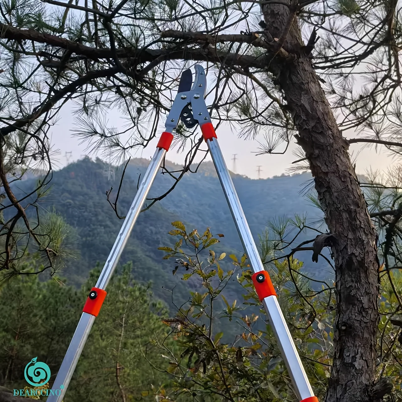 Heavy-Duty Pruning …