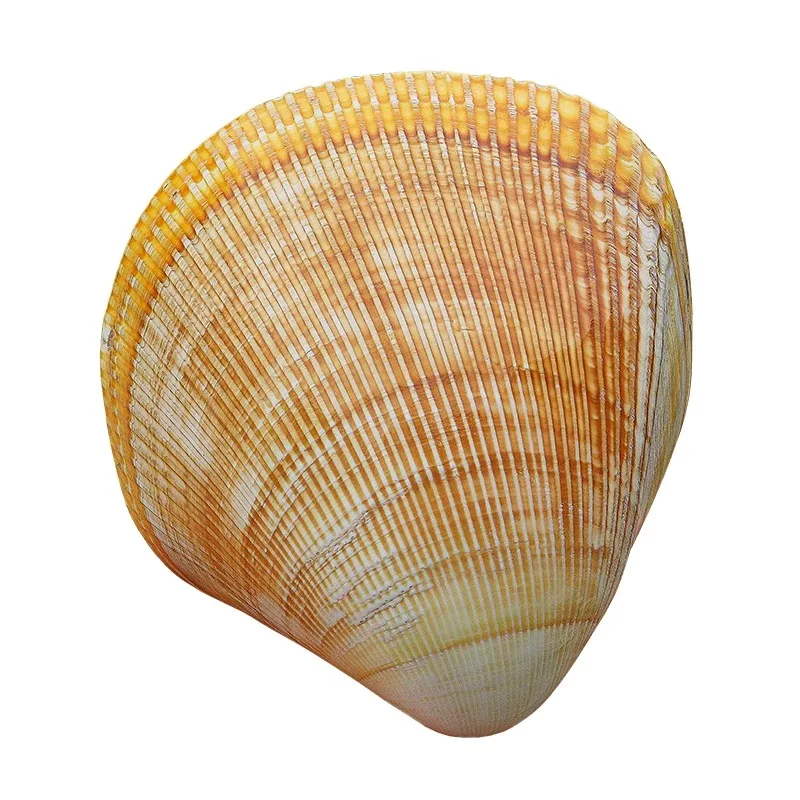 1Pc Natural Conch Shell Oversized Yellow Bird-tailed Clam 11-12cmFish Tank Landscaping Heart-shaped Couple Shell Home Collection