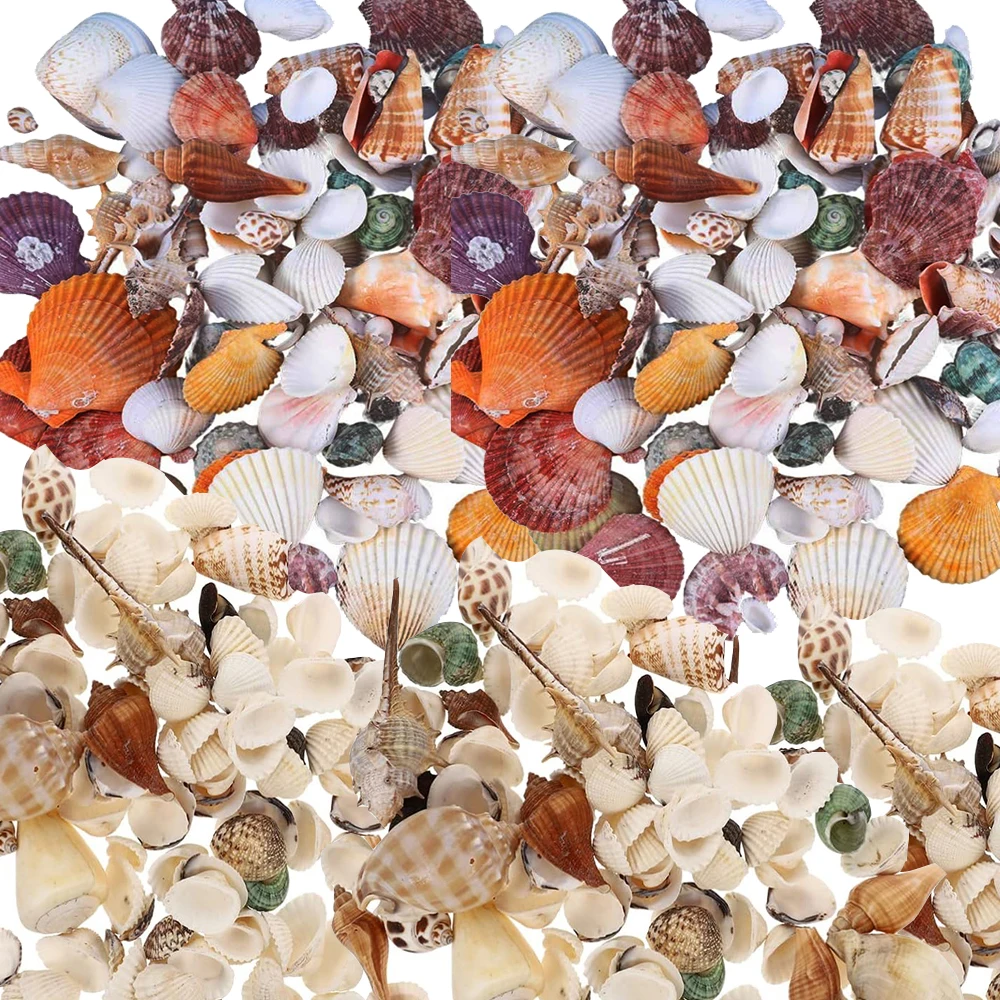 250~200g Mixed Size Ocean Sea shells Wedding Decor Beach Theme Party Seashells Home Decorations Fish Tank Decorations