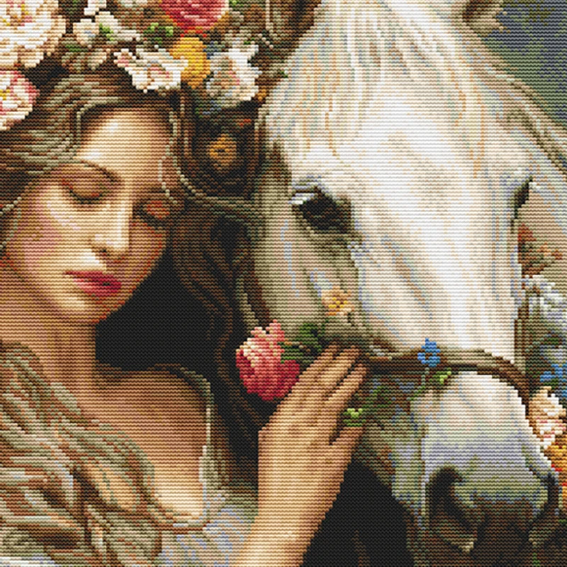 DIY pre-printed Cross Stitch 11CT 14CT Aida Fabric beginners set Flower Fairy and Horse embroidery floss kit