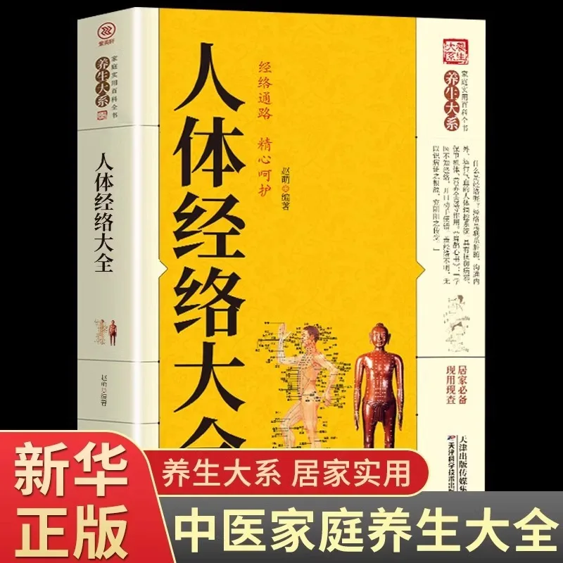 Complete Guide To Human Meridians, Acupoint Techniques, Meridian Quick Memory, Whole Body Meridian Books