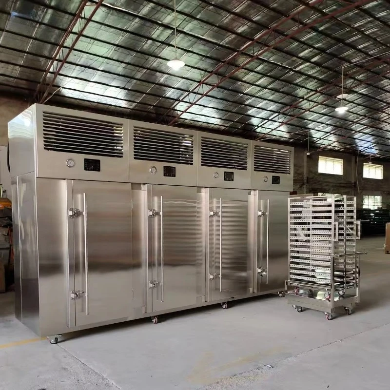Quick Blast Chiller Shock-free Seafood Equipment for Chilling and Process Refrigeration Stainless Freezer
