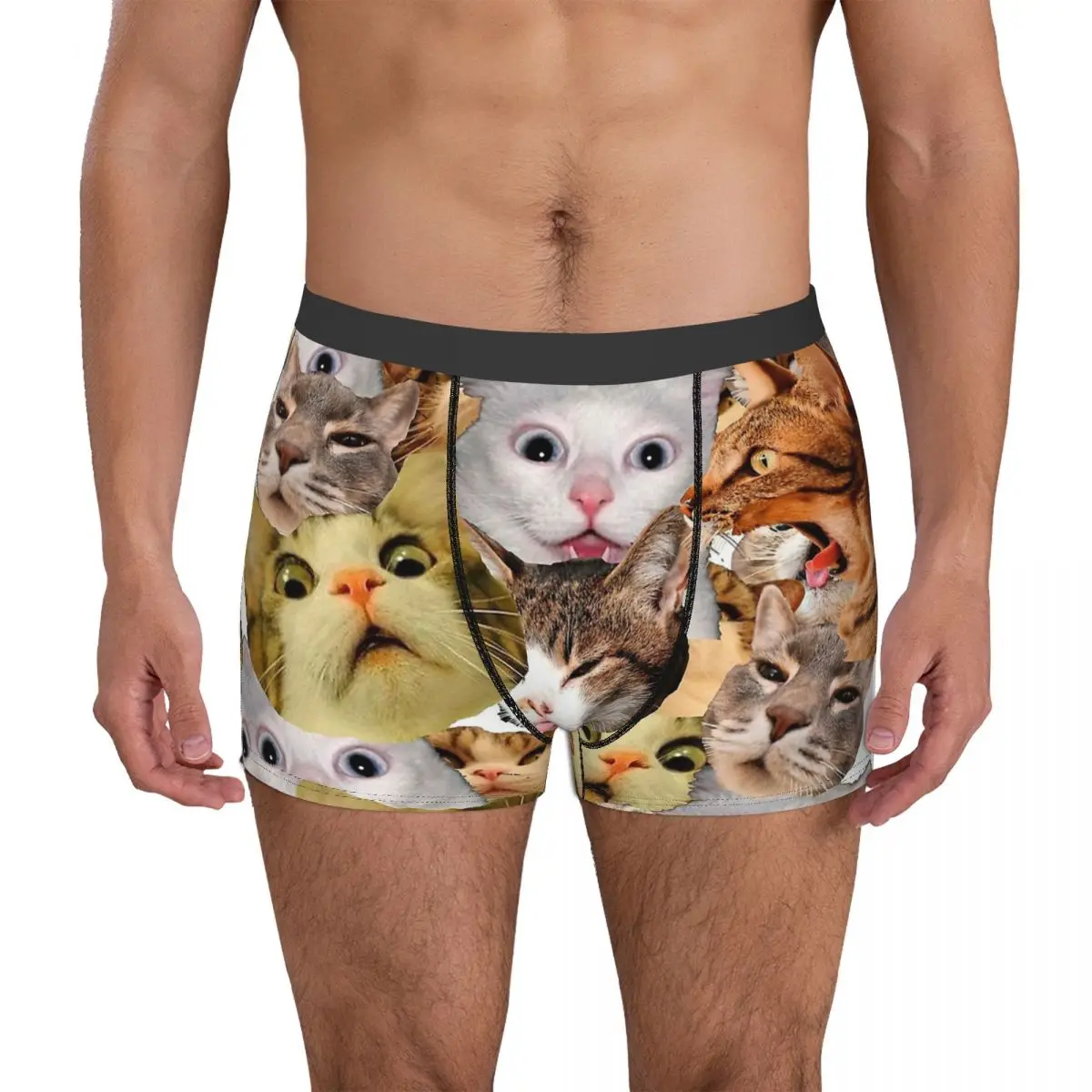 Meme Cat Cute Kawaii Animal Aniamls Underpants Homme Panties Man Underwear Ventilate Shorts Boxer Briefs