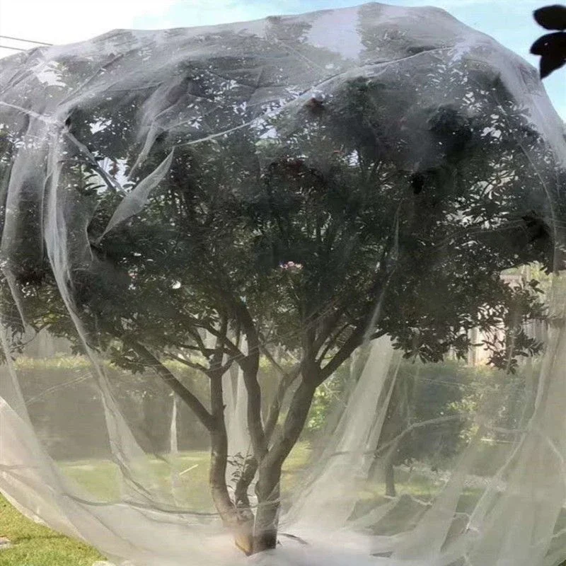 

Fruit Tree Insect Prevention Insect Screen Orchard Cherry Grape Protective Net Peach Tree Vegetable Garden Household Mesh Fabric