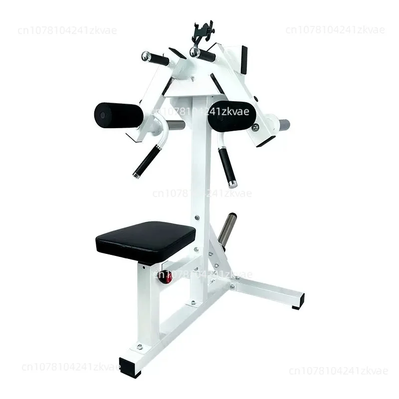 Shoulder Deltoid Side Raises Professional Trainers, Gym Personal Training Equipment, Seated Shoulder Raisers, Training Racks