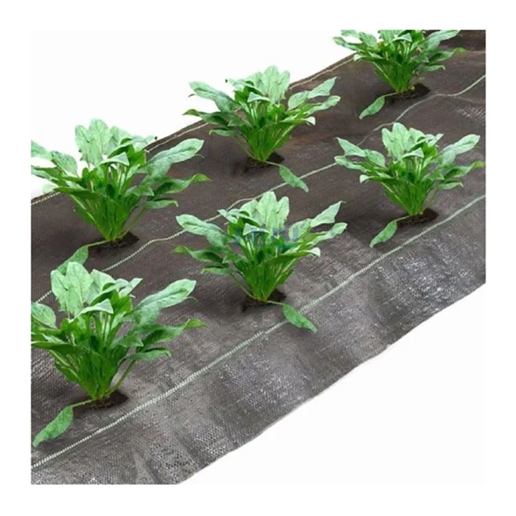 2025PP غشاء منسوج PE غطاء أرضي شبكة الاعشاب حصيرة لفة مكافحة العشب الاعشاب التحكم القماش