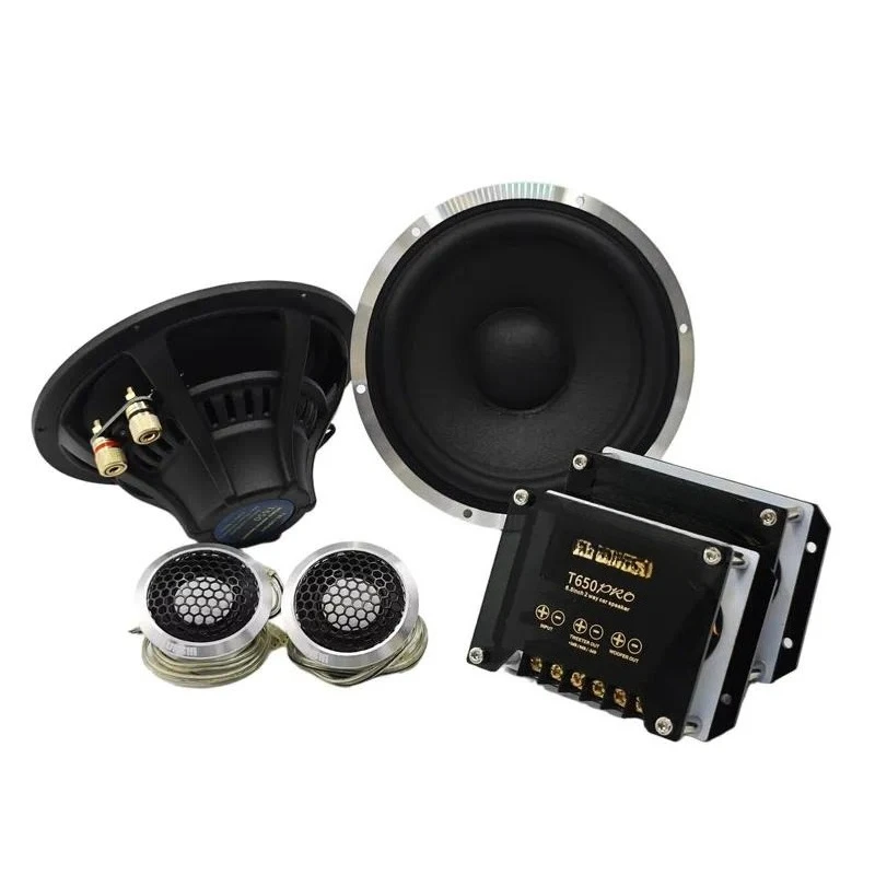 OEM 6.5 Inch 2-Way Coaxial Speakers for Automotive Audio Systems