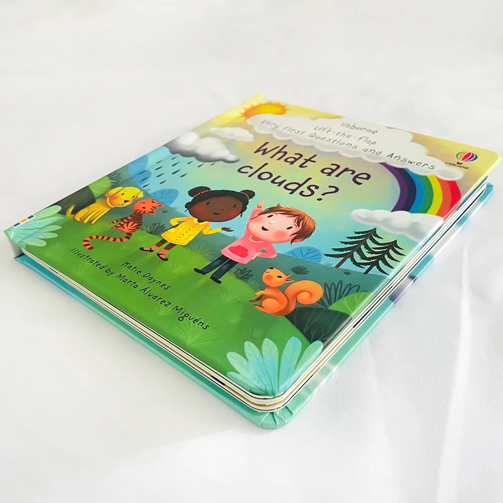 Usborne Lift The Flap Very First Questions & Answers What Are Clouds? 3D Flap English Picture Book for Kids Baby Bedtime Reading