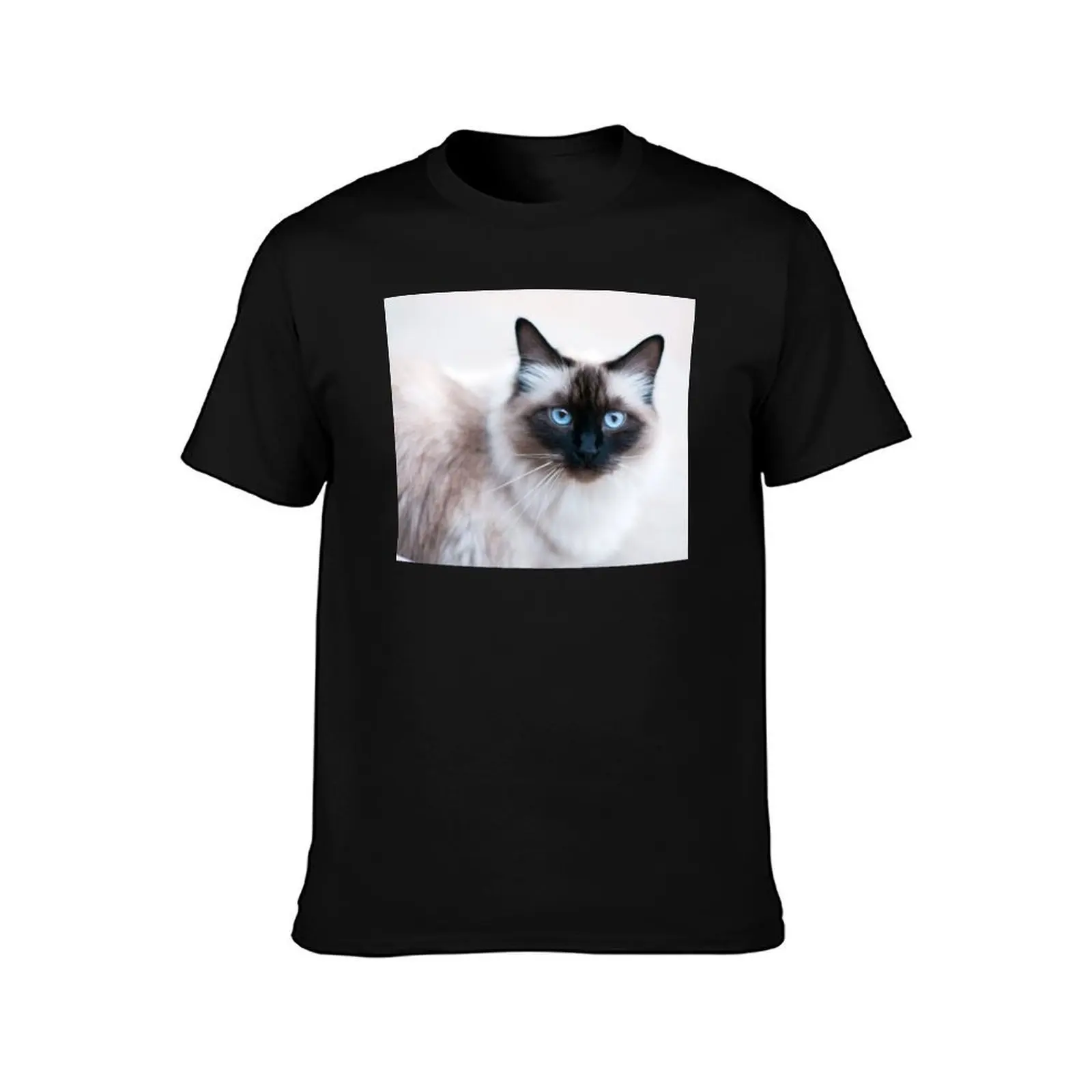 Siamese Like Rag Doll Cat T-Shirt t shirts for man slim fit T-Shirt