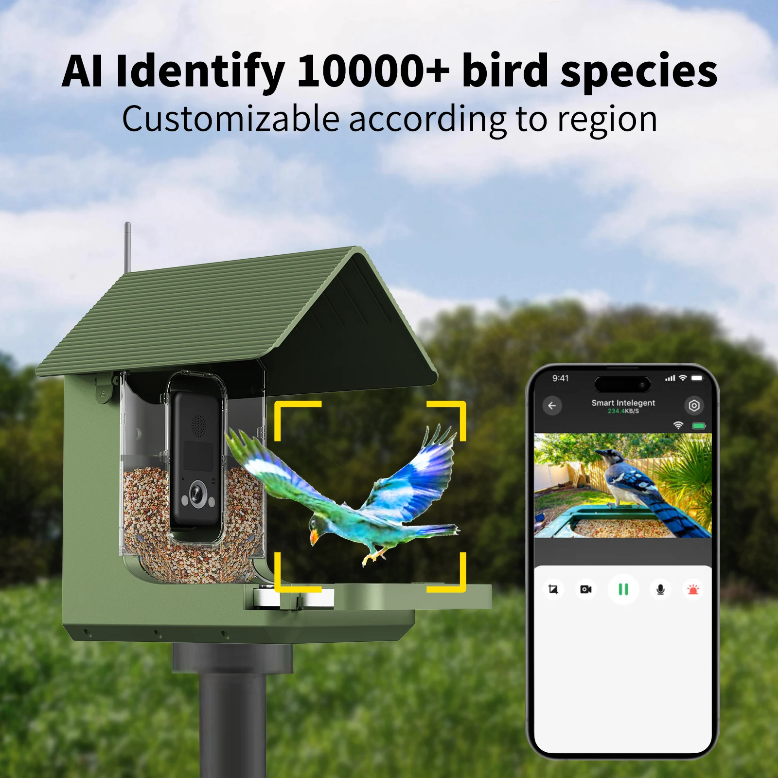 4K AI Smart Bird Feeder Camera - Smart Garden Ai 评论和价格