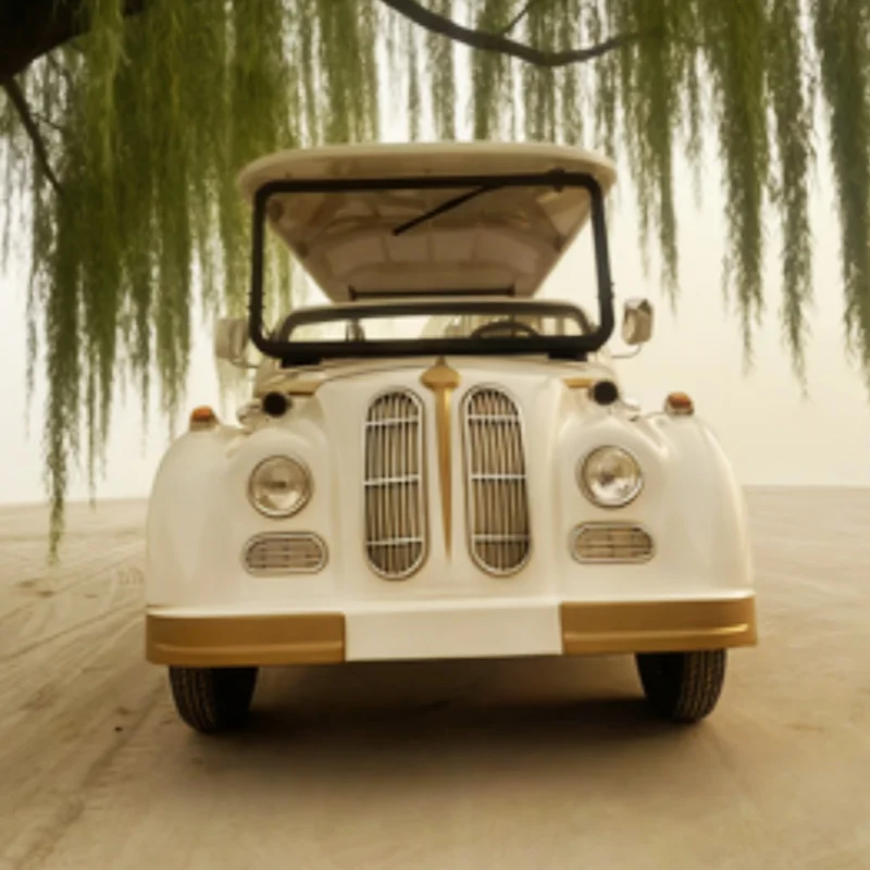 

Lithium Battery Electric Club Car With Leather Seat With Headrest New Energy Rapid Delivery Electric Retro Classic Car