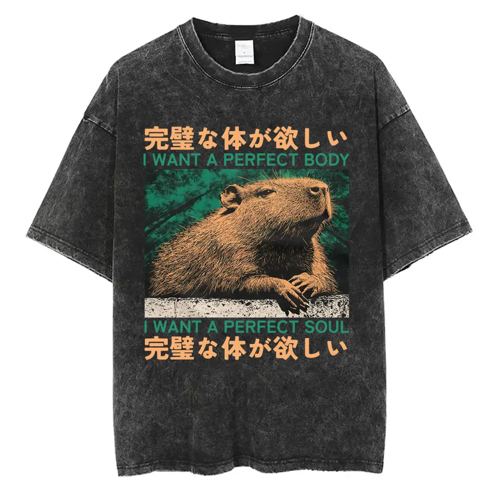 I Want A Perfect Body I Want A Perfect Soul T-shirt Funny Japanese Style Capybara Vintage Washed T Shirt Men Oversized Tees Tops