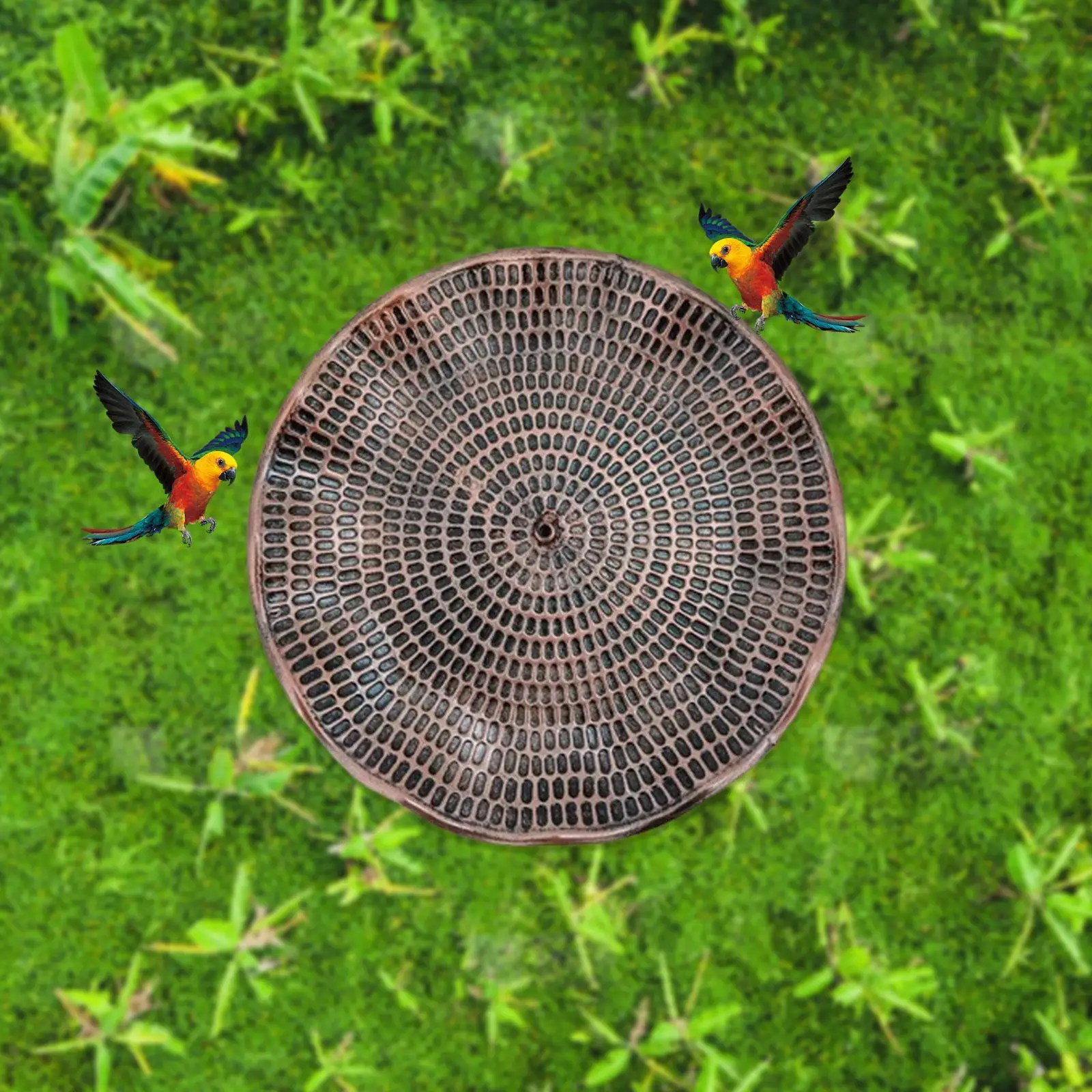 

Feeder Bowl Vintage Design Bird Bath for Outside for Courtyard Lawn Patio
