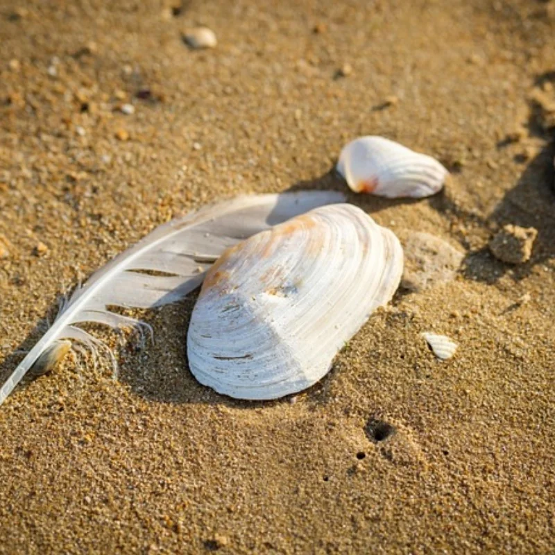 

1 компл. 1 для Wltoys XKS 144001 1/14 радиоуправляемый автомобиль 20A бесщеточный двигатель ESC пульт дистанционного управления передатчик приемник металлический рулевой механизм