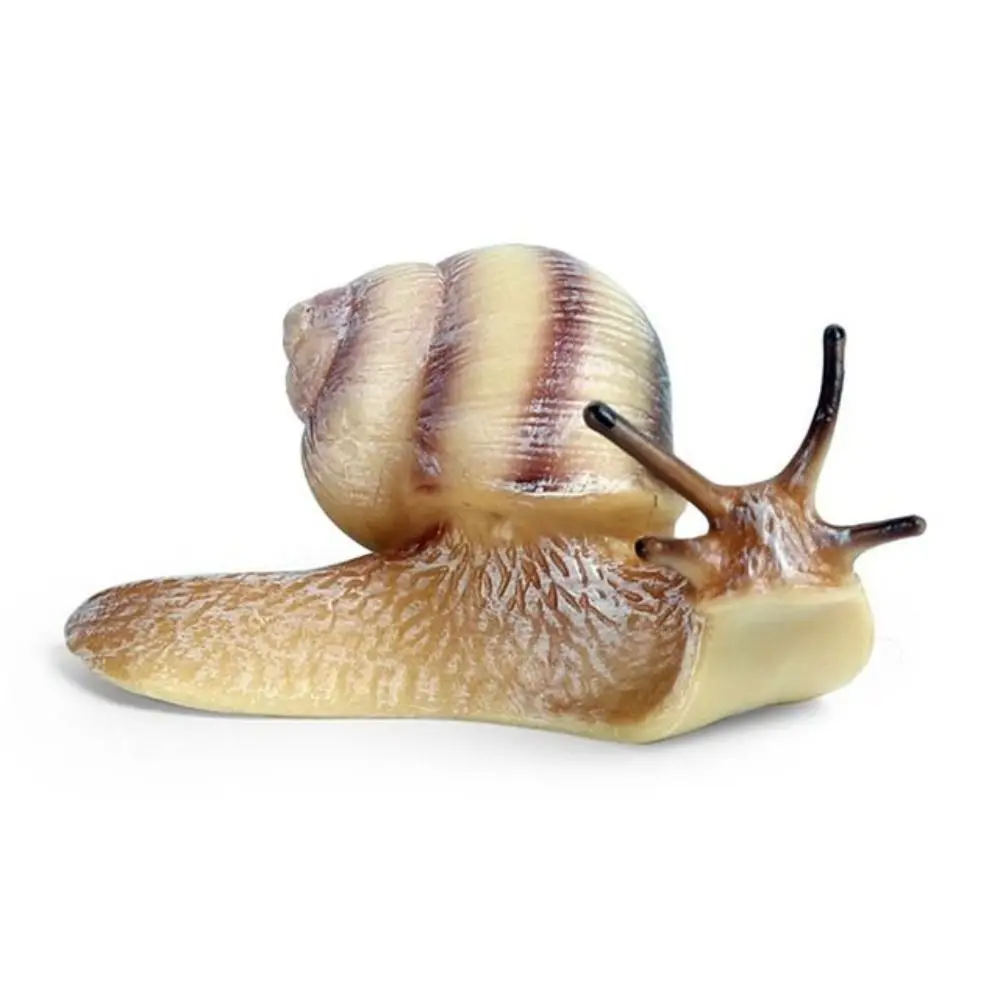 

High Quality Education Puzzle Science Children's Cognitive Snail Model Simulation Insect Snail Statue Garden Decoration