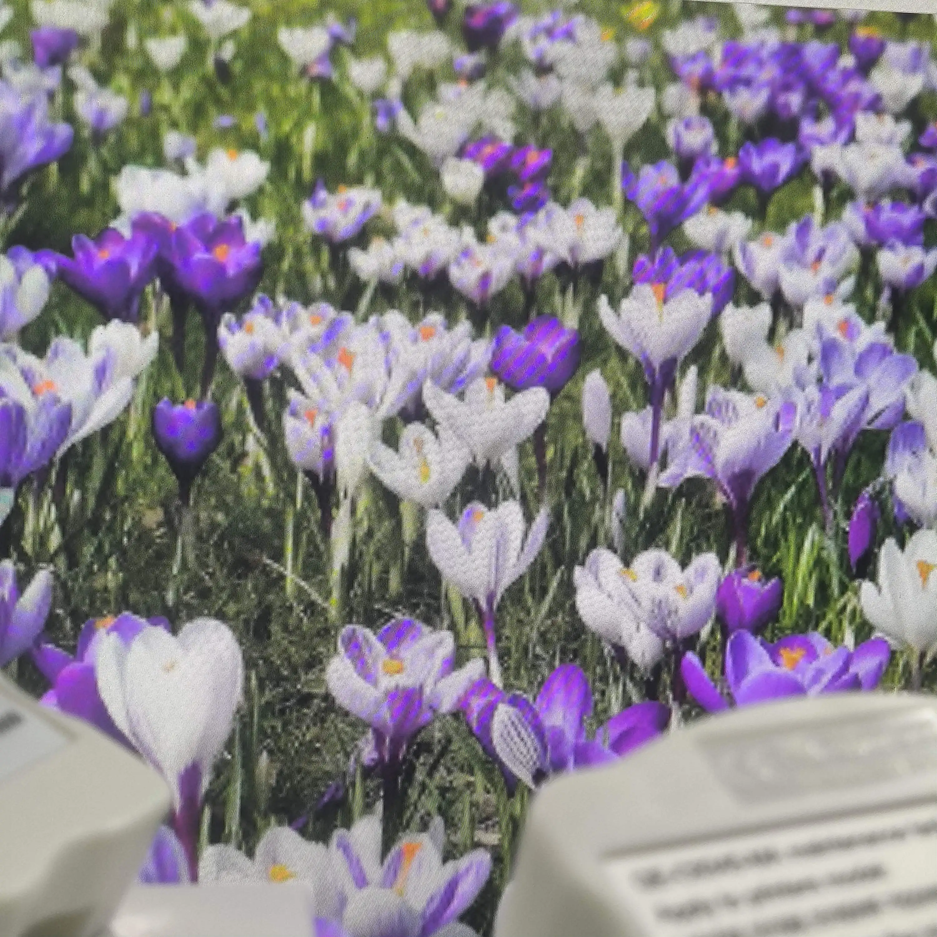 

New C9345 Maintenance Resetter For Epson L15150 L15160 L15158 L15168 L6578 WF-7820 7830 7840 4830 4820 3820 ET-16150 16600 16650