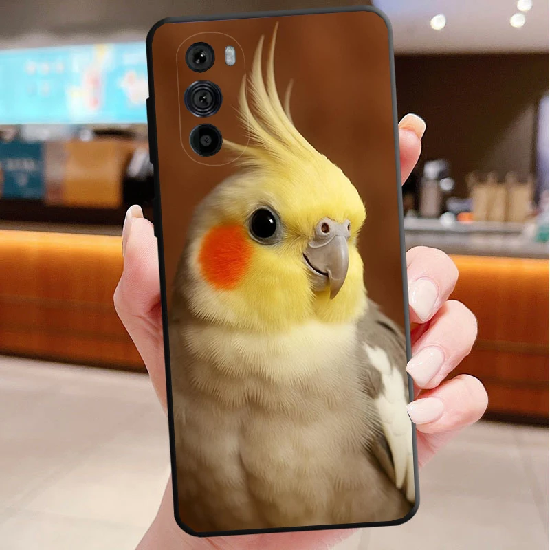 

Phone Case For Motorola Edge 50 40 Pro 60 50 40 30 Ultra Neo Fusion Moto G Play G Stylus G Power G Cockatiel bird