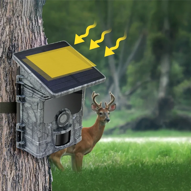Y19A Trail Camera W… - image